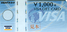 VISAMtgJ[h1000~
