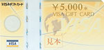 VISAMtgJ[h5000~